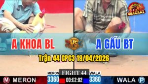 Trận 44 CPC3 19/04/2026 - Xanh Đâm Quá Tịch Đỏ Lìa Chân Nằm Biệt