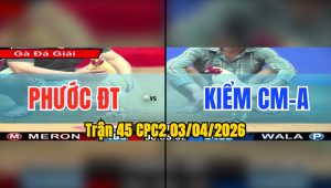 Trận 45 CPC2 03/04/2026 - Xanh Đâm Như Máy Khâu Đỏ Hư Hình Hết Sửa