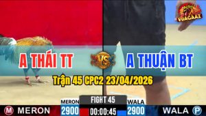 Trận 45 CPC2 23/04/2026 - Gà Anh Thái TT Đá Đâm Như Sát Thủ
