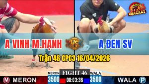 Trận 46 CPC3 16/04/2026 - Cú Đá Đòn Như Súng Bắn  Hạ Điều Sau Vài Chân