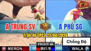 Trận 46 CPC3 23/04/2026 - Gà Anh Trung Giành Chiến Thắng Vất Vả