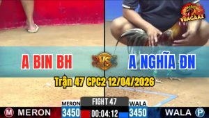 Trận 47 CPC2 12/04/2026 - Úa Đâm Quá Đâm Xám Quay Đầu Bỏ Chạy