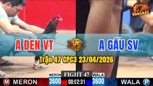 Trận 47 CPC3 23/04/2026 - Gà Xanh Có Chân Cựa Quá Hiểm Hóc