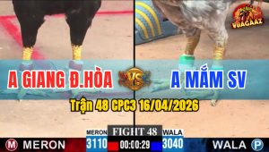 Trận 48 CPC3 16/04/2026 - Xám Đâm Điều Té