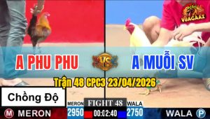 Trận 48 CPC3 23/04/2026 - Gà Úa Đá Đâm Như Sát Thủ Hạ Luôn Gà Chồng Độ