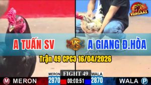Trận 49 CPC3 16/04/2026 - Điều Đâm Bướm Hư Hình Nằm Biệt