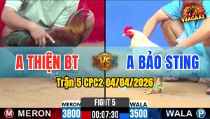 Trận 5 CPC2 04/04/2026 - Bướm Chấp 300g Nhưng Vẫn HẠ Điều Đơn Giản