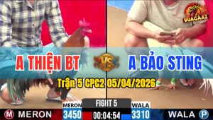 Trận 5 CPC2 05/04/2026 - Bướm Chấp 300g Nhưng Vẫn HẠ Điều Đơn Giản