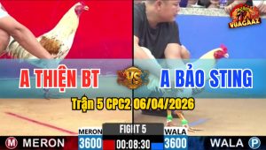 Trận 5 CPC2 06/04/2026 - Bướm Chấp 300g Nhưng Vẫn HẠ Điều Đơn Giản