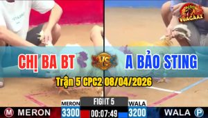 Trận 5 CPC2 08/04/2026 - Idol Quá Đẳng Cấp 3 Chân Bưng Bướm Ra Ngoài