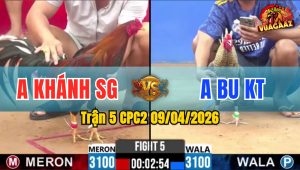 Trận 5 CPC2 09/04/2026 - Cú Đá Mu Lưng Điều Bưng Ra Ngoài