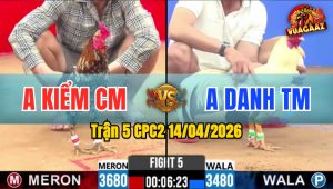 Trận 5 CPC2 14/04/2026 - Bông Đâm Như Sơm Úa Bưng Ra Hết Cứu