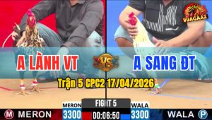 Trận 5 CPC2 17/04/2026 - Bướm Buông Đuôi Bưng Bông Ra Ngoài