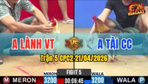 Trận 5 CPC2 21/04/2026 - Điều Đá 1 Chân Bưng Úa Ra Ngoài Rồi Ngã Rục