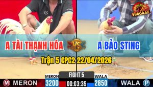 Trận 5 CPC2 22/04/2026 - Anh Tài TH Phản Đòn Thắng Ngược Anh Bảo Sting