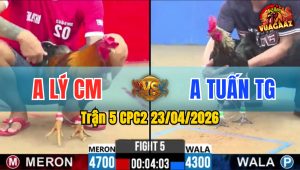 Trận 5 CPC2 23/04/2026 - Gà Đỏ Tiễn Gà Xanh Lên Đường Về Nước