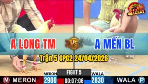 Trận 5 CPC2 24/04/2026 - Gà Úa Phút Chót Đá Phản Cây Thắng Ngược
