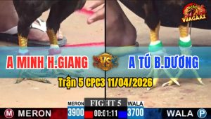 Trận 5 CPC3 11/04/2026 - ĐIỀU ĐỎ ĐÁ CỰA QUÁ KHỦNG KHIẾP  HẠ XANH NHANH GỌN