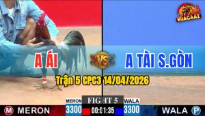 Trận 5 CPC3 14/04/2026 - Chuối Đá Vài Chân Điều Gãy Chân Có kết Quả