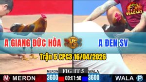 Trận 5 CPC3 16/04/2026 - Phút 90 Điều Vàng Có Chân Dứt Điểm Hạ Điều Xanh