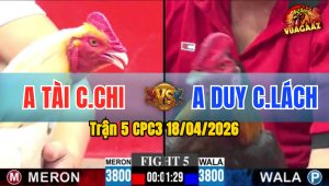 Trận 5 CPC3 18/04/2026 - Bướm Đâm Quá Đâm  Đá 3 Chân Bưng Điều Ra Sân
