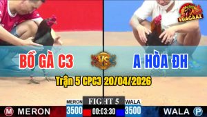 Trận 5 CPC3 20/04/2026 - Đỏ Đá Mấy Chân Là Xanh Ra Rìa