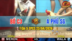 Trận 5 CPC3 23/04/2026 - Gà Đỏ Đâm Cựa Như Sơ Mít Xanh Lên Đường