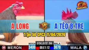 Trận 50 CPC3 11/04/2026 - ĐIỀU A TÈO XIẾT CỰA QUÁ KINH  ĐỎ ÓI BƯNG RA