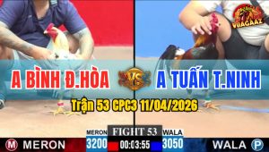 Trận 53 CPC3 11/04/2026 - A TUẤN HẠ A BINH 1 NỐT NHẠC
