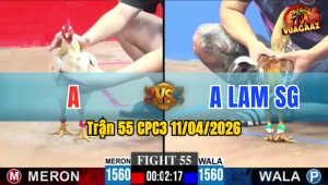 Trận 55 CPC3 11/04/2026 - CÚ PHẢN CHÂN ĐẲNG CẤP  RINH BƯỚM RA SÂN