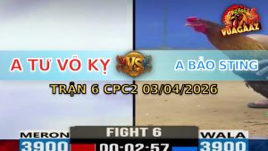 Trận 6 CPC2 03/04/2026 - Cọp Que Idol Phóng A6 Nhanh Lẹ Bưng Khét Ra Ngoài