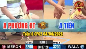 Trận 6 CPC2 04/04/2026 - Xanh Quá Lực Hạ Đỏ Nằm Biệt Bưng Ra Phút 90