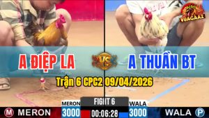 Trận 6 CPC2 09/04/2026 - Khét Đâm Quá Tịch Nhập Vào Bướm Lật Xe