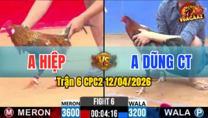 Trận 6 CPC2 12/04/2026 - Cái Kết Cho Chú Gà Điều Chấp Ngông Là Nằm Tại Chỗ