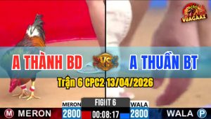 Trận 6 CPC2 13/04/2026 - Khét Buôn Đuôi Đá Điều Không Trở Mình Bưng Ra