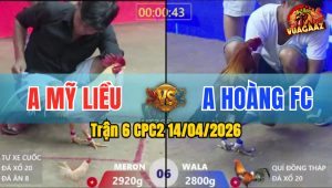 Trận 6 CPC2 14/04/2026 - Vàng Quá Hay Đá Xanh Nằm Biệt Chỉ 2 Tay Nước