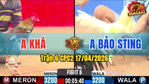 Trận 6 CPC2 17/04/2026 - Xám Lên Chân Quá Tịch Úa Nằm Biệt Dưới Chân