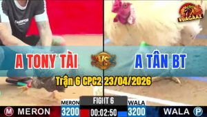 Trận 6 CPC2 23/04/2026 - Gà Xanh Đá 1 Cước Đỏ Xin Về Trước