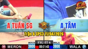 Trận 6 CPC3 11/04/2026 - KHÉT BÔNG ĐÁ CỰA  BƯỚM KHÔNG ĐỨNG NỖI
