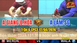 Trận 6 CPC3 12/04/2026 - QUE ĐÂM QUÁ ĐÂM  BƯNG BƯỚM RA SÂN