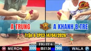 Trận 6 CPC3 14/04/2026 - Cả 2 Con Thiếu Chân Dứt Điểm Hòa Tiền