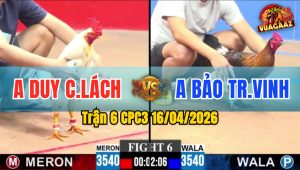 Trận 6 CPC3 16/04/2026 - Điều Đâm Bướm Bỏ Chạy Bay Bồ