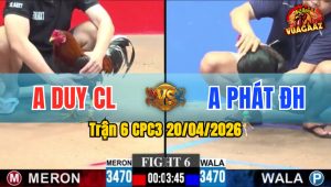 Trận 6 CPC3 20/04/2026 - Phát Đức Hòa Lụm Ngọt Duy Chợ Lách