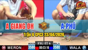 Trận 6 CPC3 23/04/2026 - Đỏ Nhấc Chân Là Có Cựa Giành Chiến Thắng Dễ Dàng