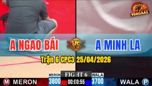 Trận 6 CPC3 25/04/2026 - Kẻ Tám Lạng Gặp Người Nửa Cân
