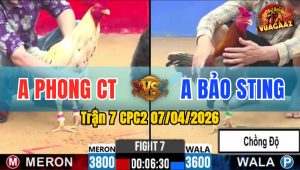 Trận 7 CPC2 07/04/2026 - Bướm Đá Quá Cựa Điều Hư Hình Hết Cứu