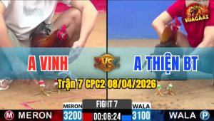 Trận 7 CPC2 08/04/2026 - Xanh Ra Chân Quyết Định Đỏ Hư Hình Nằm Biệt