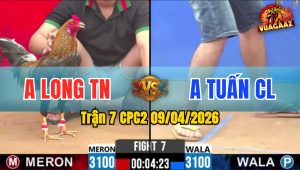 Trận 7 CPC2 09/04/2026 - Bông Đá Bo Xe Dụng Cú Hư Hình Nằm Biệt