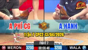 Trận 7 CPC2 13/04/2026 - Xanh Quá Tốc Độ 1 Tay Nước Đỏ Hư Hình Hết Đứng