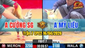 Trận 7 CPC2 16/04/2026 - Úa Bắt Quạ Bắt Cú Mau Lẹ